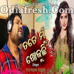 Tote Mu Khojuchi - Odia Sad Song By Humane Sagar
